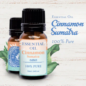 Cinnamon Bark Sumatra