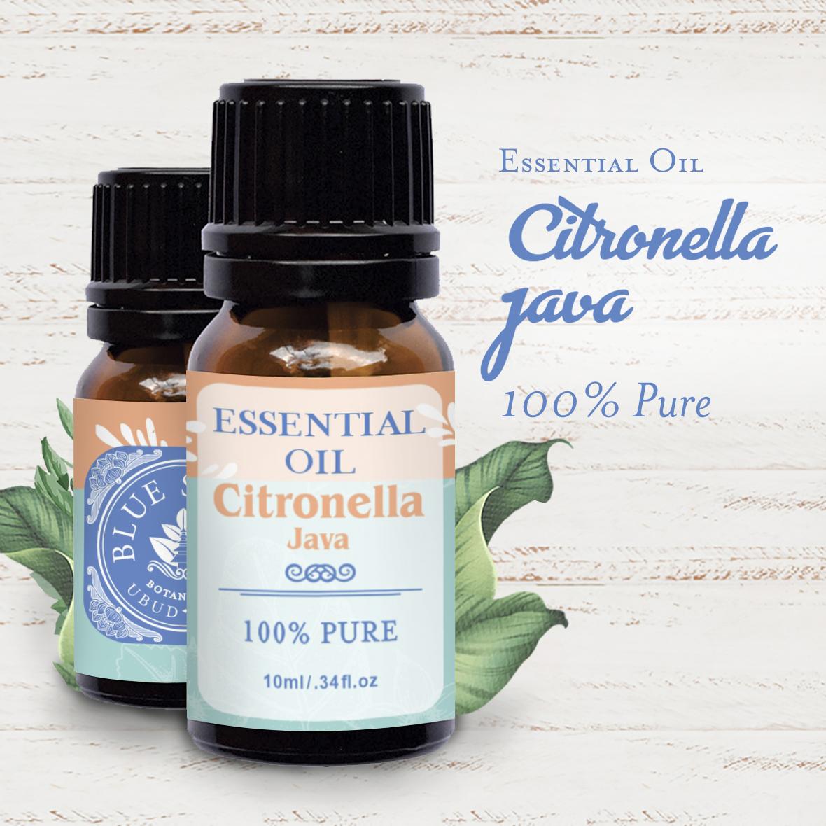 Citronella Java