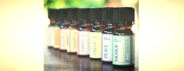 What are essential oils?